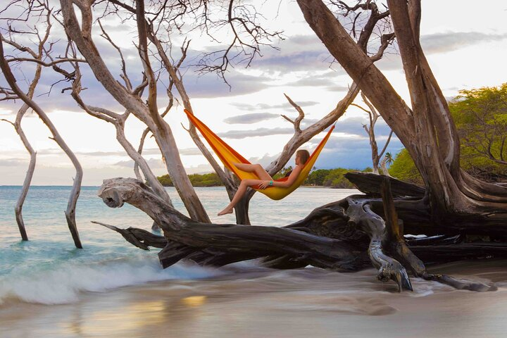 Exquisite Hammock Locations
